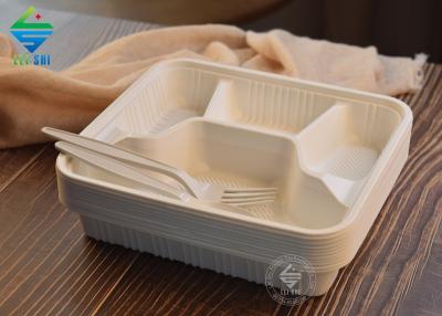 eco-friendly lunch box with no lid